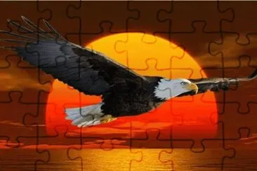 x jigsaw puzzle