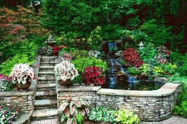 פאזל של jardim