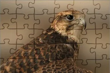 Belleza del Reino Animal jigsaw puzzle