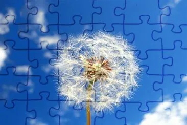 DIENTE DE LEÃ“N. jigsaw puzzle