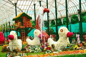 jardim jigsaw puzzle