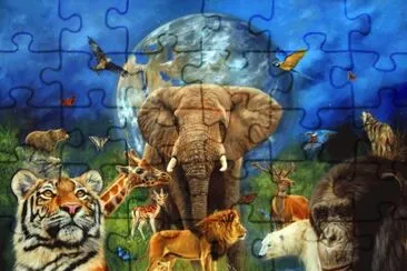 Animals of the World