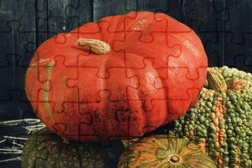 Carbasses jigsaw puzzle