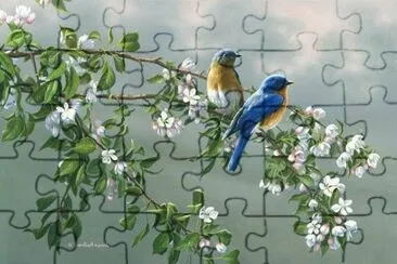 z jigsaw puzzle
