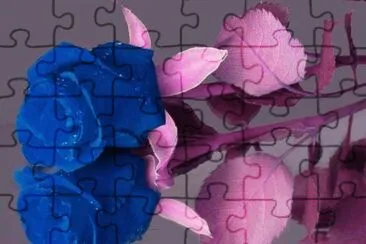 z jigsaw puzzle