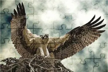73 jigsaw puzzle