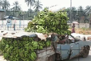 Banana transportation in Africa jigsaw puzzle