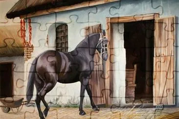 cavalo
