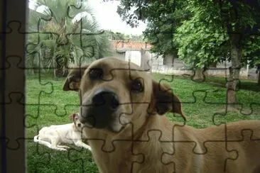 NinÃ£o
