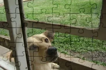 NinÃ£o