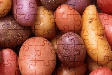 Different kind of Potatoes jigsaw puzzle