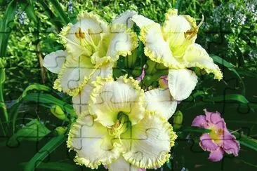 flor