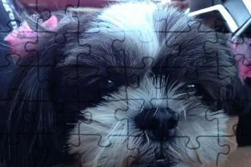 basia jigsaw puzzle