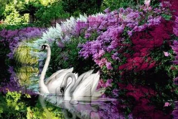paisagem jigsaw puzzle