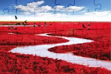 (: jigsaw puzzle