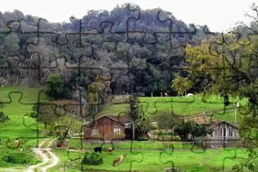 campo jigsaw puzzle