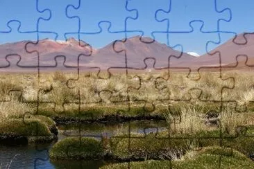 51 jigsaw puzzle