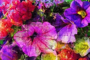Spring Flowers