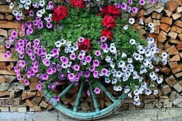.. jigsaw puzzle