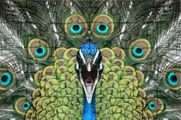 Faraon jigsaw puzzle