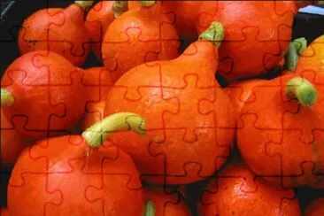 Zapallo uchiki kuri o hokkaido jigsaw puzzle