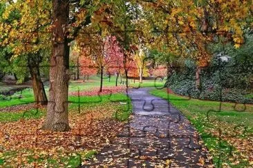 Bosque