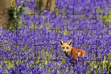 x jigsaw puzzle