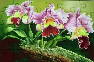 arte jigsaw puzzle