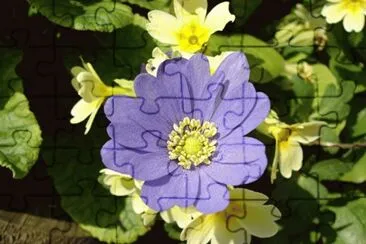 fleur jigsaw puzzle