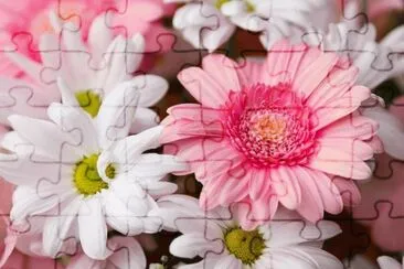 8 jigsaw puzzle