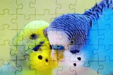 Bird jigsaw puzzle
