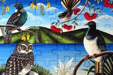 Birds from New Zealand