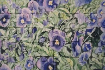 viole jigsaw puzzle