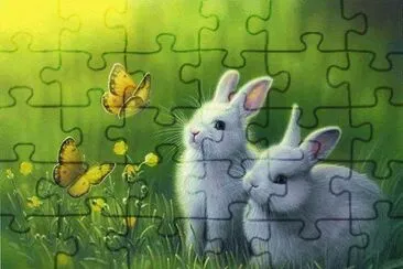 Coelhos jigsaw puzzle