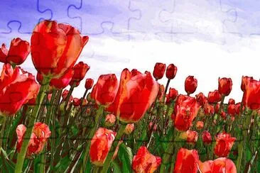 Tulipes jigsaw puzzle