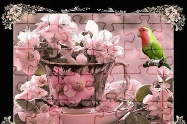 bird