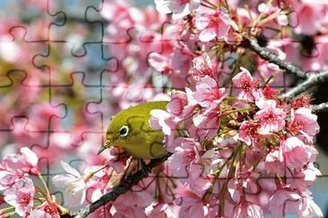 bird jigsaw puzzle