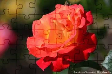 flor jigsaw puzzle