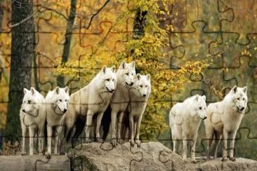 LA BANDA DE GÃœEROS. jigsaw puzzle