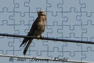 Postovka jigsaw puzzle