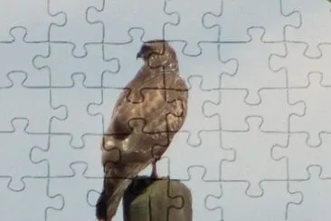 Kanja jigsaw puzzle