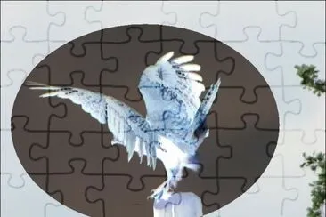 Kanja jigsaw puzzle