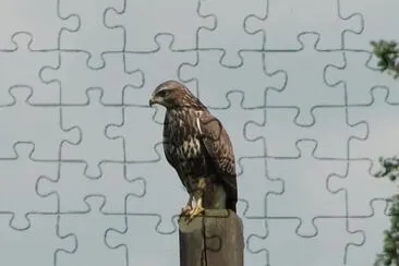 Kanja jigsaw puzzle