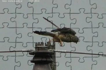 Postovka jigsaw puzzle