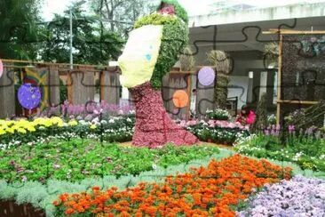 èŠèŠ±