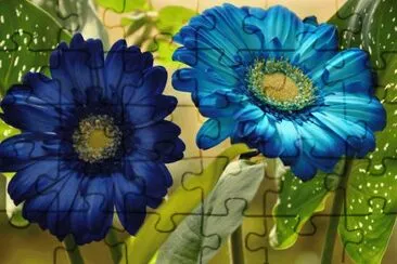 11 jigsaw puzzle