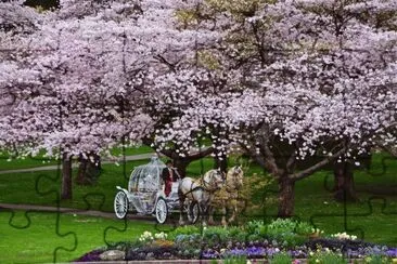 20 jigsaw puzzle