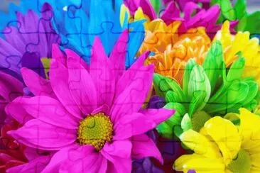 Rainbow Flowers