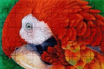 Colored Parrot