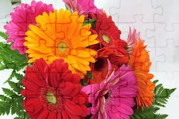 gerberas jigsaw puzzle